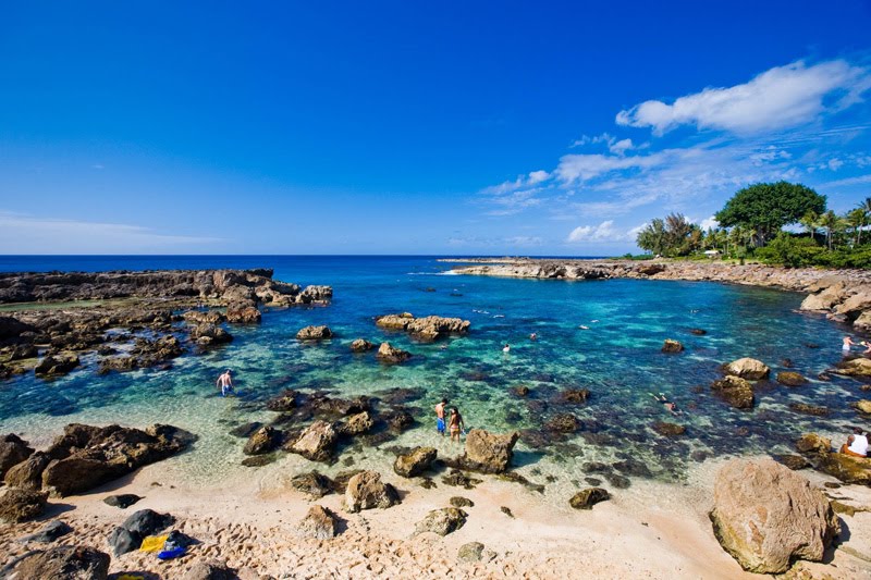 North Shore Snorkeling, Oahu Snorkel Rental