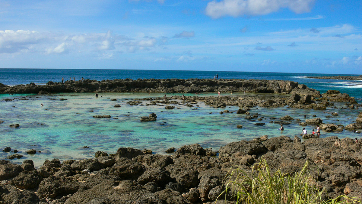 North Shore Snorkeling, Oahu Snorkel Rental